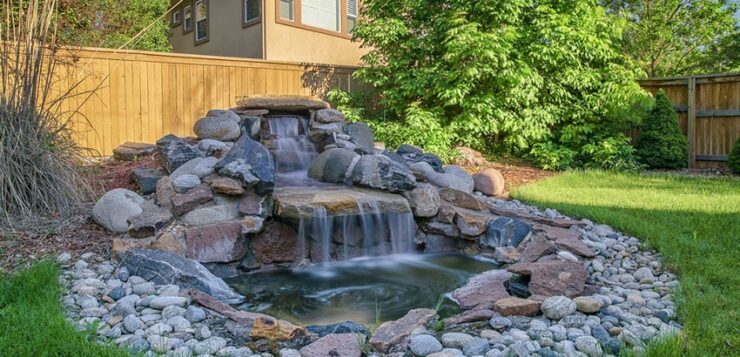The Beauty and Benefits of Backyard Water Features